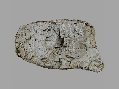 Natural Weathered Stone Wood With Rough Cracked Surface And Earthy Textured Patterns 3d model