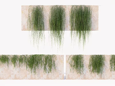 Modern Plant Wall 3d model