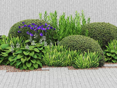 Diverse Garden Plant Combination With Round Shrubs Purple Flowers And Green Foliage 3d model