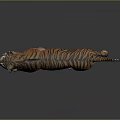 Realistic Tiger With Orange Black Stripes Walking On Gray Background With Reflection 3d model