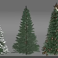 Varied Christmas Trees Including Snowy Green And Decorated With Star And Balls 3d model