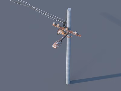 Vintage Rustic Spoon Hanging On Gray Utility Pole With Wires 3d model