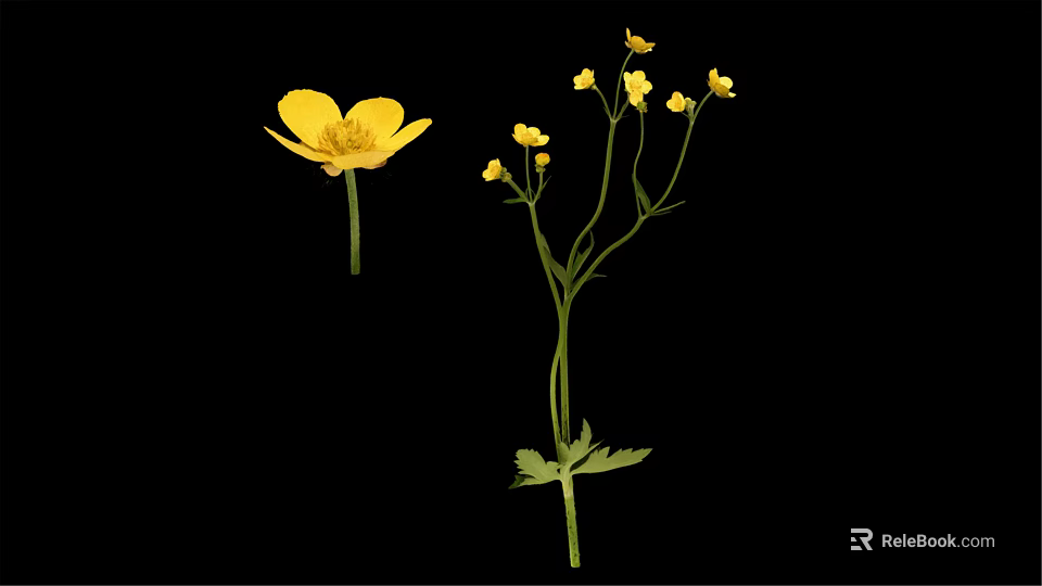 Vibrant Yellow Flowers Arranged in Elegant Vase with Green Stems and Leaves 3d model 