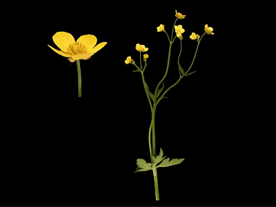 Vibrant Yellow Flowers Arranged in Elegant Vase with Green Stems and Leaves 3d model