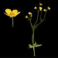 Vibrant Yellow Flowers Arranged in Elegant Vase with Green Stems and Leaves