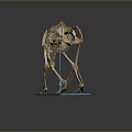 Anatomical Monkey Skeleton Model With Detailed Bone Structure On Blue Base 3d model