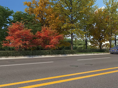 Road Facilities With Yellow Dividing Lines And Colorful Trees Along Roadside 3d model
