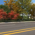 Road Facilities With Yellow Dividing Lines And Colorful Trees Along Roadside
