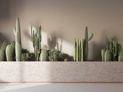 Potted Cactus Bonsai Plants In Long Stone Container With Sunlight And Shadows 3d model