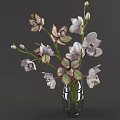 Decorative Glass Vase with Orchid Flowers White Pink Petals Green Stems Leaves