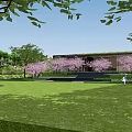 Modern Residential Landscape With Cherry Blossom Trees Green Lawn And Outdoor Activity Area