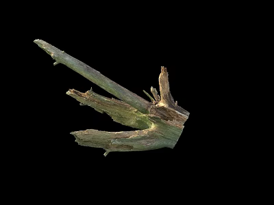 wood rotting wood dead wood dead branches rotten wood 3d model