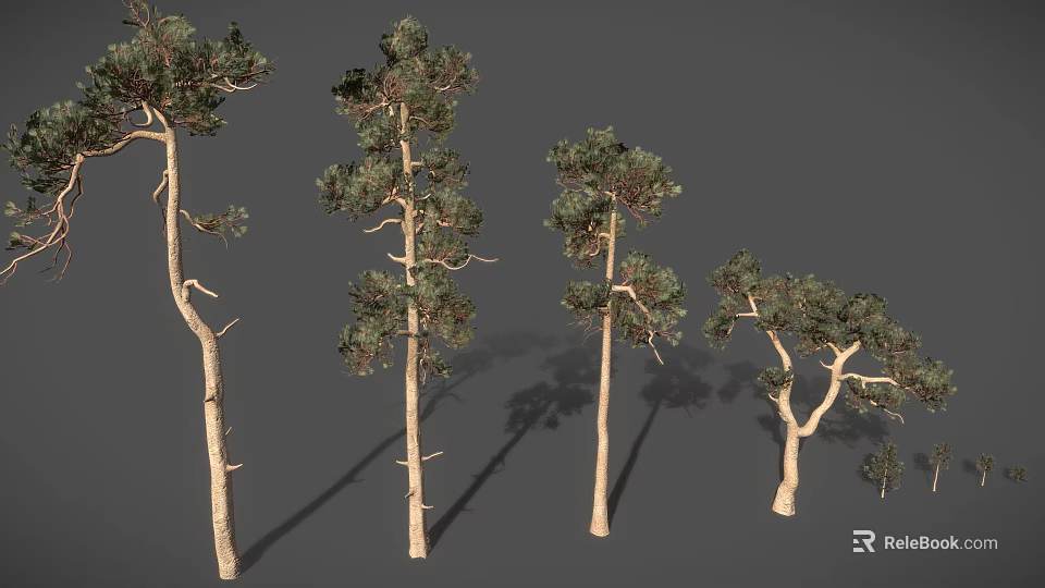 Different Shaped Trees with Slender Trunks and Branched Branches and Green Foliage Against Gray Background 3d model 