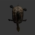 Realistic Turtle with Brown Textured Shell Yellow Head and Clawed Limbs on Gray Background