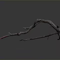 Curved Dried Tree Branch With Twisted Shape And Branches On Dark Background