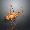grasshopper insect cartoon locust animation locust anime locust anime game character 3d model