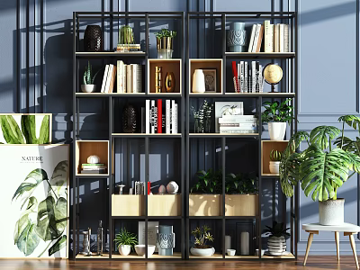Modern Bookshelf Design With Books Plants Decorative Items And Storage Solutions 3d model