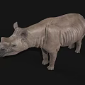Gray Rhinoceros 3D Model With Detailed Skin Texture Isolated On Black