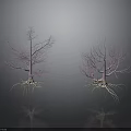 Two Pink Trees With Exposed Roots Branches And Reflections On Gray Background