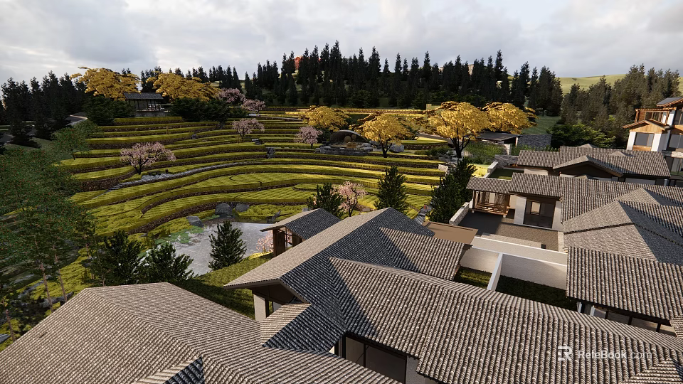 Traditional Village Scenery With Terraced Fields Cherry Blossom Trees And Forest Background 3d model 
