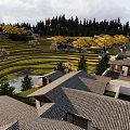 Traditional Village Scenery With Terraced Fields Cherry Blossom Trees And Forest Background