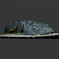 Frog Poison Frog Game Frog Reptile Cold Blooded Animal Reptile 3d model