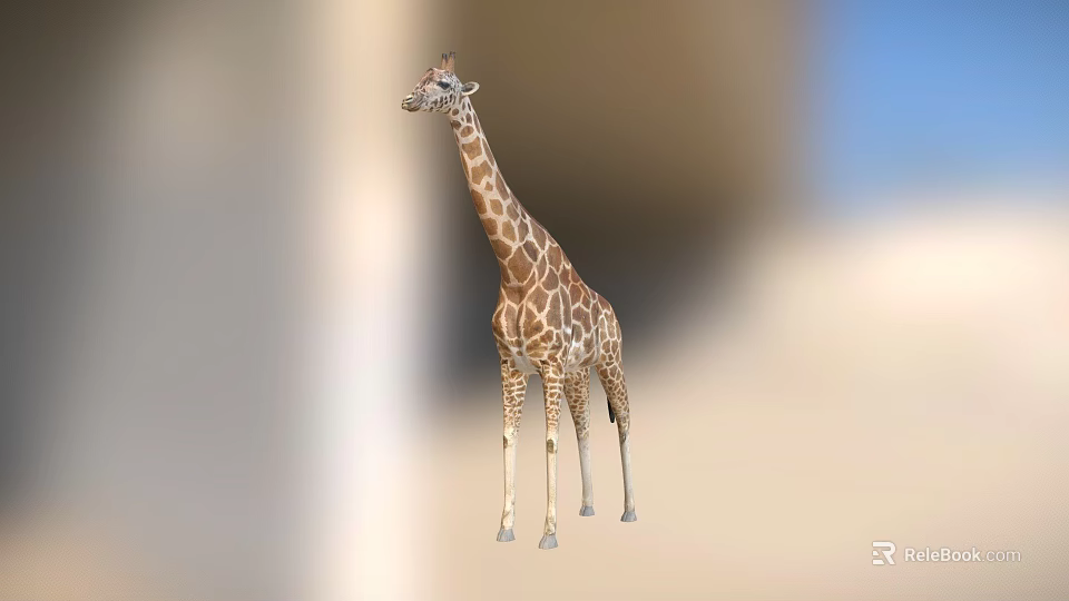 Majestic Tall Spotted Giraffe With Long Neck In Natural Outdoor Grassland 3d model 