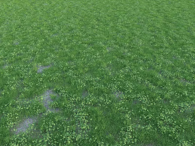 Lush Green Grass Field With Small Clover Plants and Scattered Bare Soil Spots 3d model