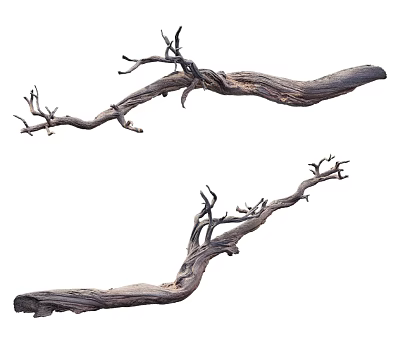 Natural Dry Tree Branches With Twisted Gnarled Texture For Decorative 3d model