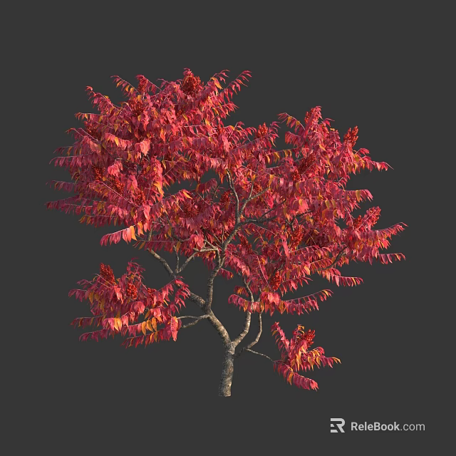 Vibrant Deciduous Tree with Red and Orange Leaves Against Dark Background in Autumn 3d model 