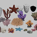 Colorful Marine Ornament Collection With Starfish Coral Seashell And Diverse Decorative Pieces
