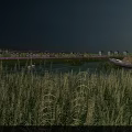Peaceful Lakeside Scenery With Reeds Swan Boat And Distant Residential Buildings