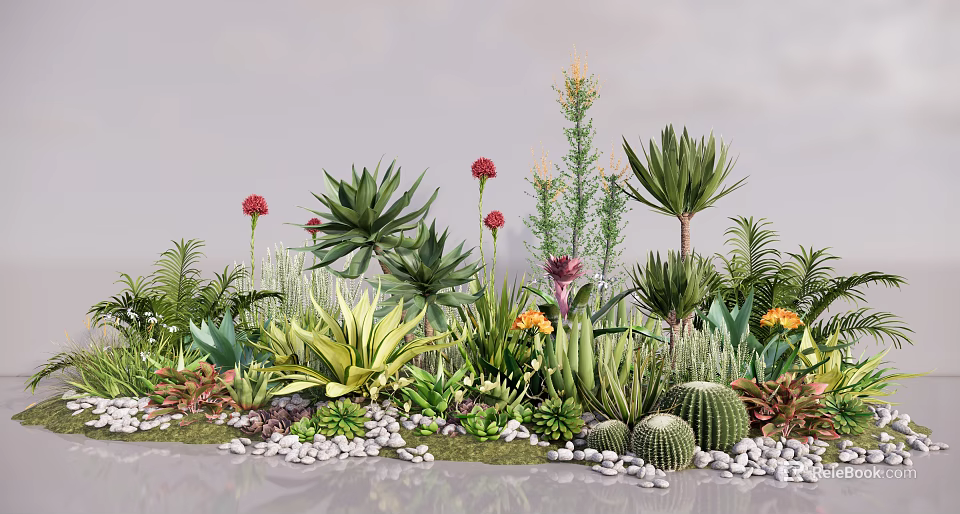 Plant Combination With Various Succulents Cacti Aloe Flowering Plants And Small Pebbles 3d model 