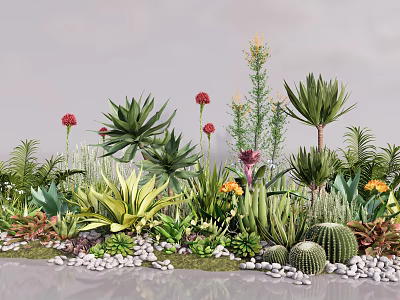 Plant Combination With Various Succulents Cacti Aloe Flowering Plants And Small Pebbles 3d model