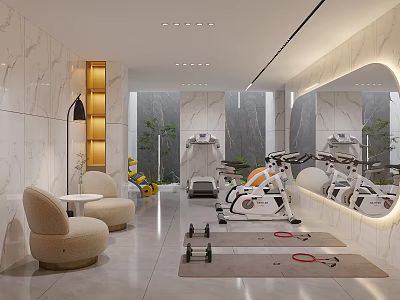 Modern Entertainment Room Interior with Fitness Equipment Dumbbells Yoga Mats Mirrors Plants and Marble Walls 3d model