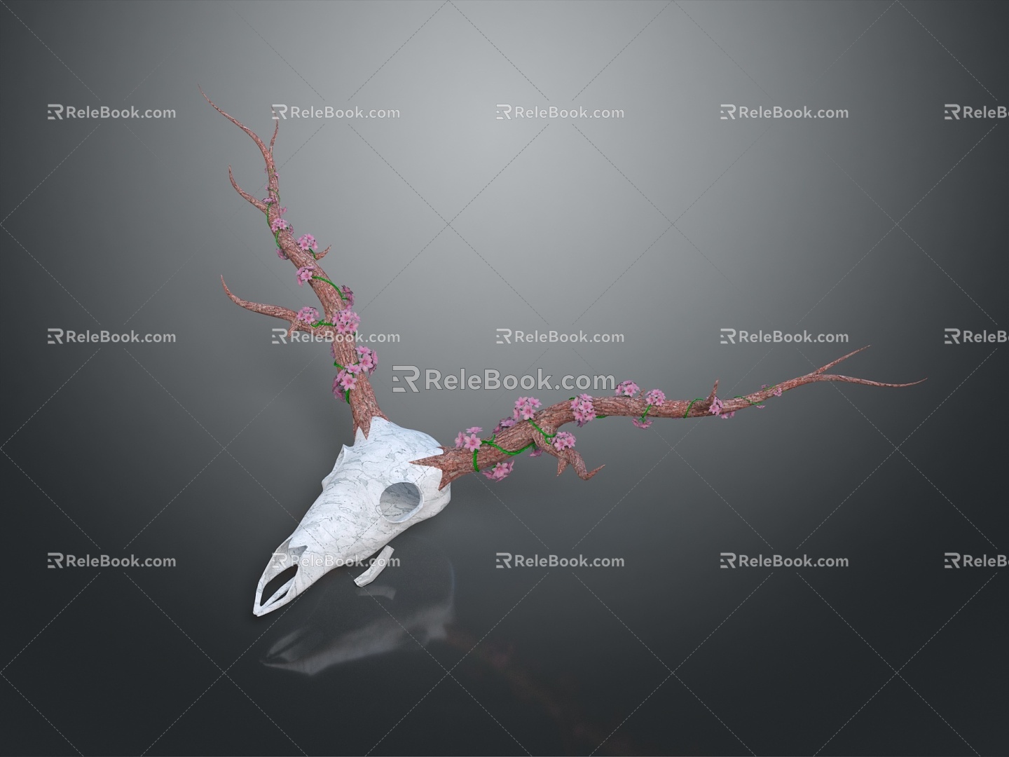 Modern Skull Goat Skull Animal Skull Fossil Skull 3d model