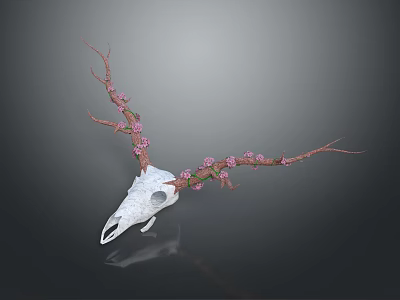 White Deer Skull Anatomical Model Medical Device For Educational Training 3d model