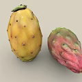Fresh Yellow And Red Prickly Pear Fruits With Prickles On Neutral Background
