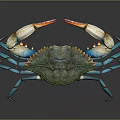 Vibrant Blue Legged Crab With Green Body And Orange Claws On Dark Background