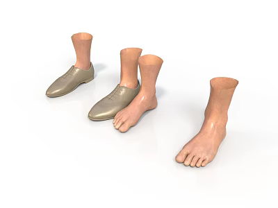 Realistic Foot Models With Shoes And Barefoot Options For Display Use 3d model