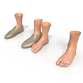 Realistic Foot Models With Shoes And Barefoot Options For Display Use