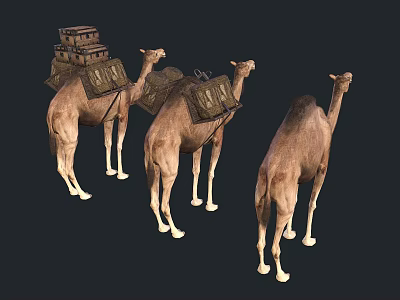 camel dromedary camel 3d model