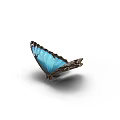 Beautiful Blue Butterfly With Vibrant Wings And Detailed Patterns As Flying Insect