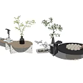 Modern Coffee Table Design With Green Plants Decorative Items And Books 3d model