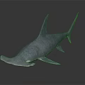 Lifelike Blue Shark Model With Smooth Glossy Surface In Dark Reflective Background 3d model