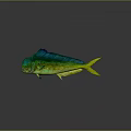 Vibrant Mahi Mahi Fish with Green Blue Yellow Colors and Shiny Scales on Dark Background