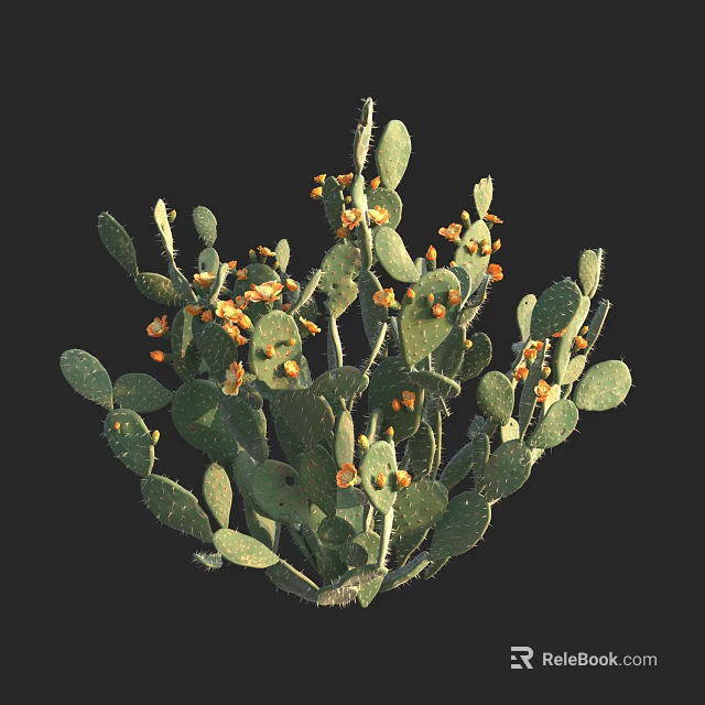 Lush Prickly Pear Cactus Plant With Green Pads And Orange Fruits 3d model 