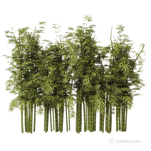 Lush Green Bamboo Bonsai Potted Plants With Tall Stems And Fresh Leaves 3d model 