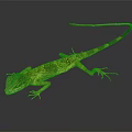 Colorful Yellow Green Lizard With Long Tail On Dark Background With Reflection 3d model