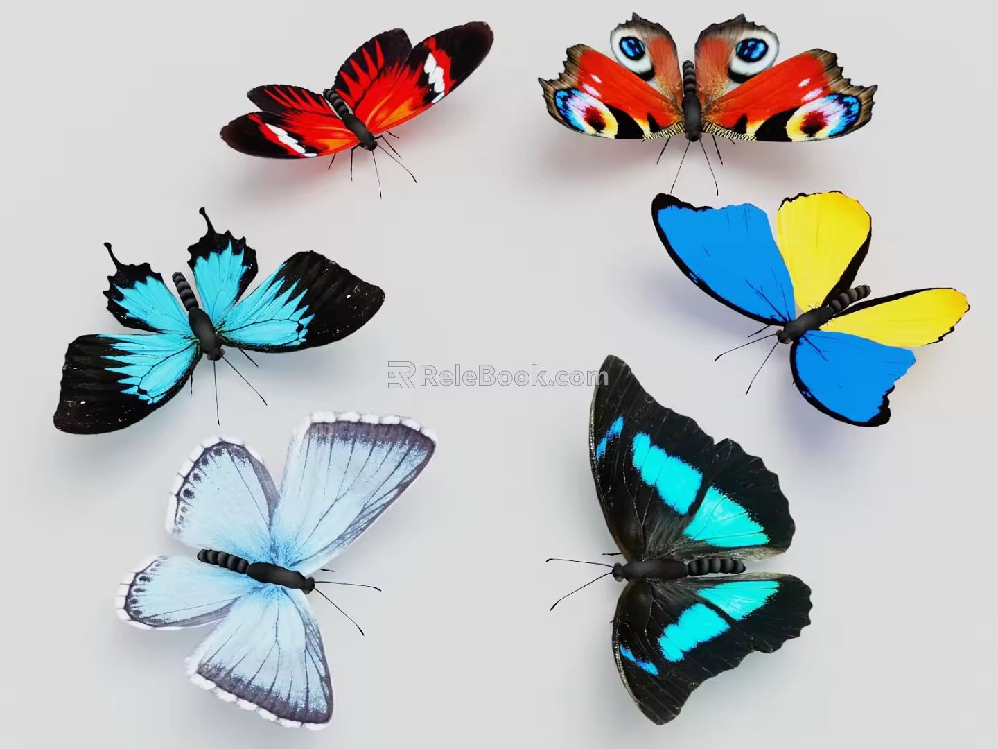 superfine butterfly model collection superfine model butterfly fine model insect butterfly moth 3d model